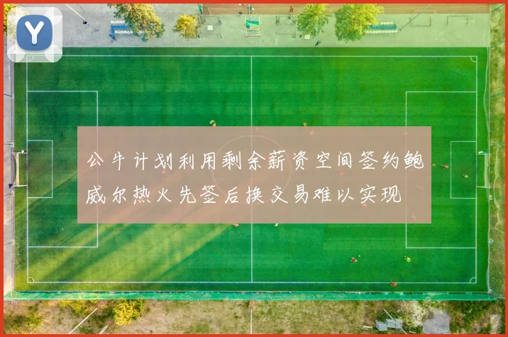 公牛计划利用剩余薪资空间签约鲍威尔热火先签后换交易难以实现