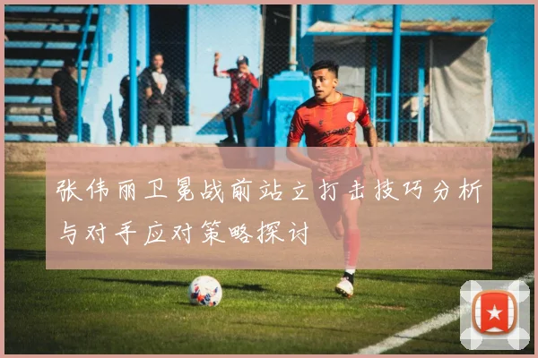 张伟丽卫冕战前站立打击技巧分析与对手应对策略探讨