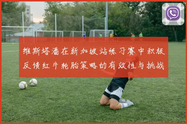 维斯塔潘在新加坡站练习赛中积极反馈红牛轮胎策略的有效性与挑战