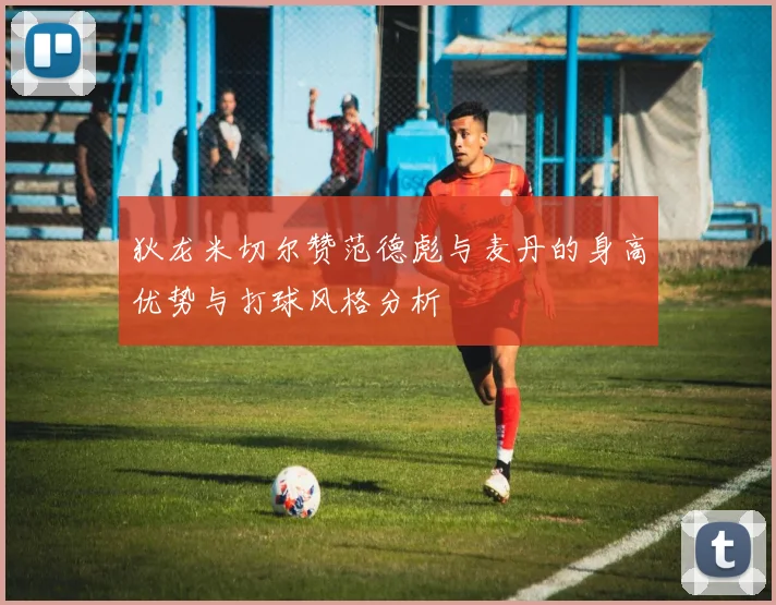 狄龙米切尔赞范德彪与麦丹的身高优势与打球风格分析