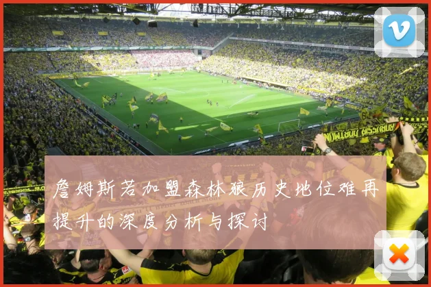 詹姆斯若加盟森林狼历史地位难再提升的深度分析与探讨